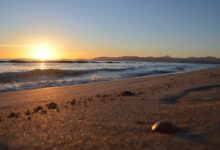 Photo of Удобные шорты для пляжа