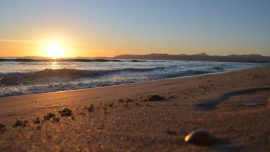 Photo of Удобные шорты для пляжа